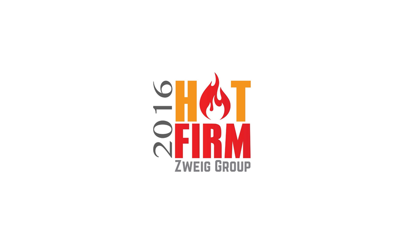 Zweig Group Hot Firm List Top 500 Firms